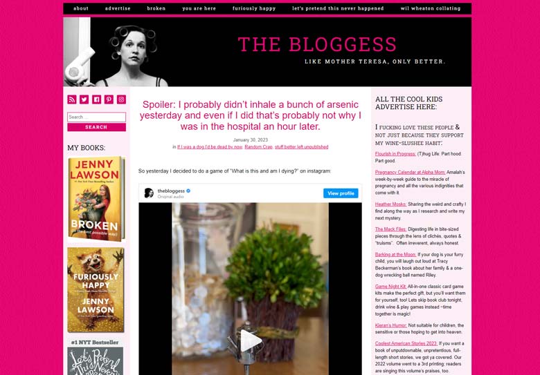 The Bloggess