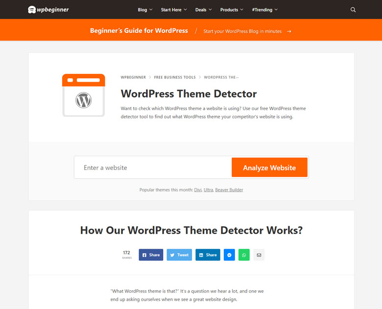 WordPress Theme Detector by WPBeginner