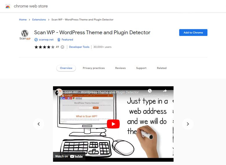 Scan WP - WordPress Theme and Plugin Detector