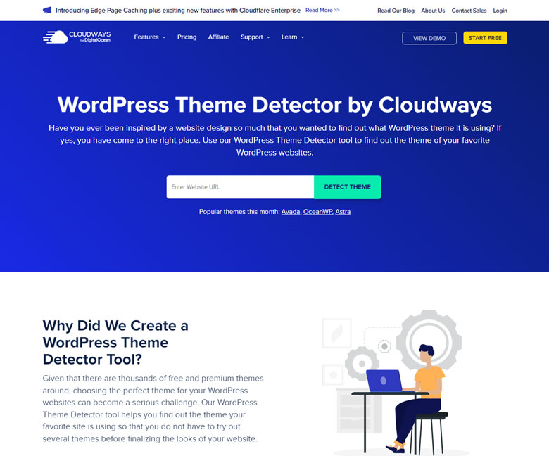 WordPress Theme Detector by Cloudways