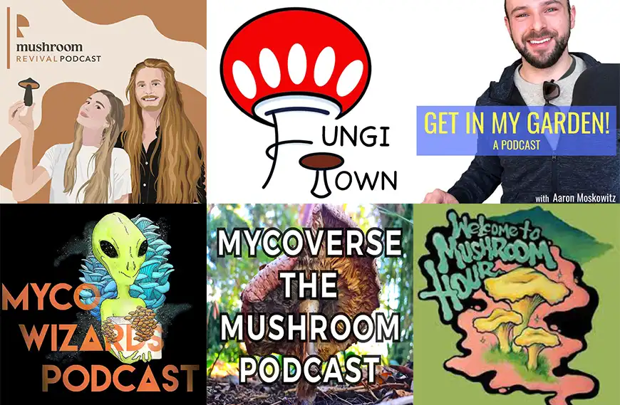 Best Mycology Podcasts